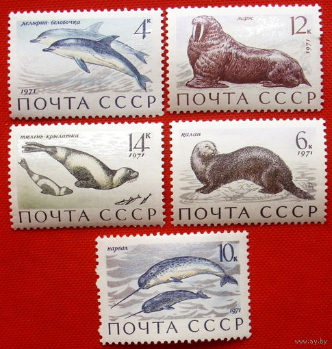СССР.  Млекопитающие - обитатели морей и океанов. ( 5 марок ) 1971 года.