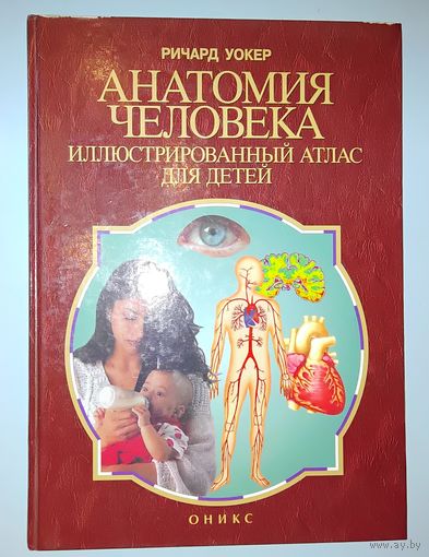 Анатомия человека - атлас для детей