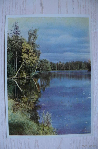 Шагин И., г. Пушкин. Пруд в Екатерининском парке; 1949, чистая.