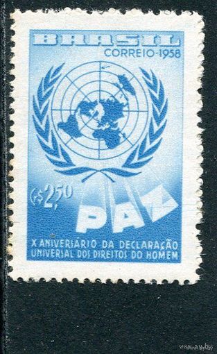 Бразилия. 10 лет декларации прав человека ООН