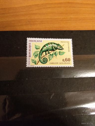 1971 Франция фауна хамелеон чистая клей MNH** выпускалась одиночкой (4-12)