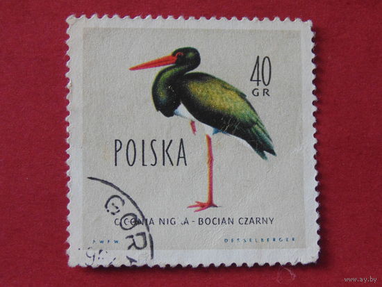 Польша 1960 г. Птицы. Чёрный аист.