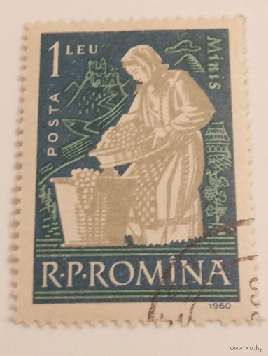 Румыния 1960. Сборщица винограда