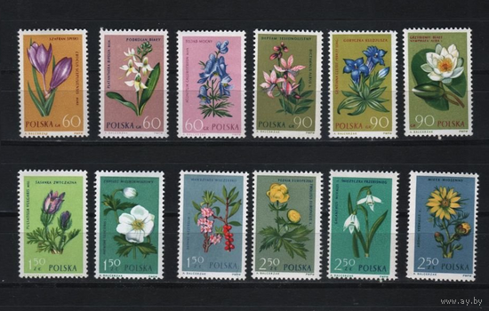 1962 Польша Флора Цветы 12х-марок**1325-1336\\5