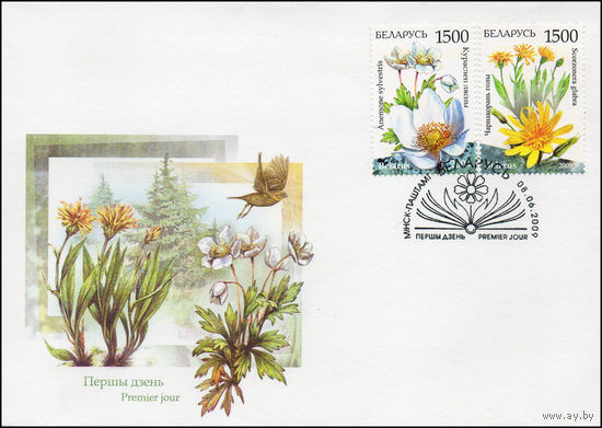 Беларусь 2009 год  Конверт первого дня Флора. Охраняемые растения Беларуси.