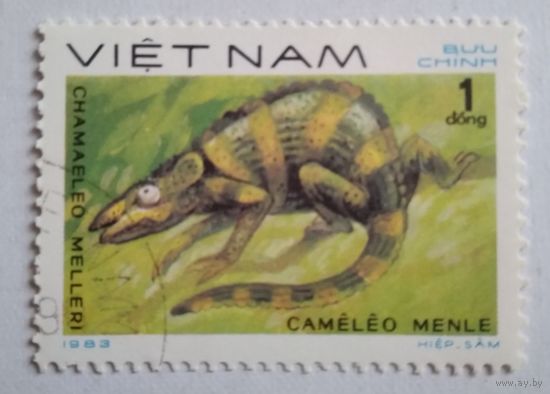 Вьетнам 1983. Хамелеон