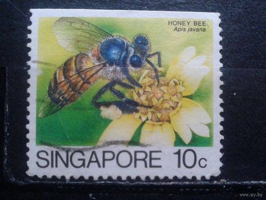 Сингапур, 1985. Пчела медоносная