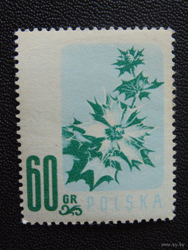 Польша 1957 г. Флора.