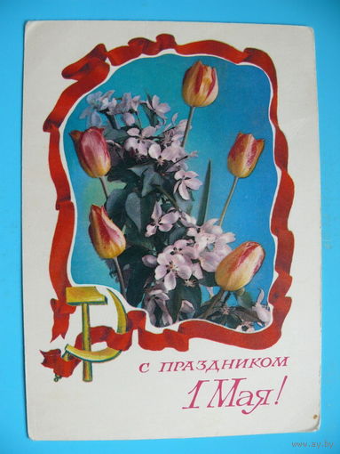 Костенко Г.(фото), Оксман С.(художник), С праздником 1 Мая! 1975, чистая.