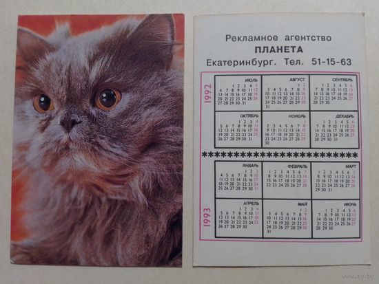 Карманный календарик. Котик.1992 год
