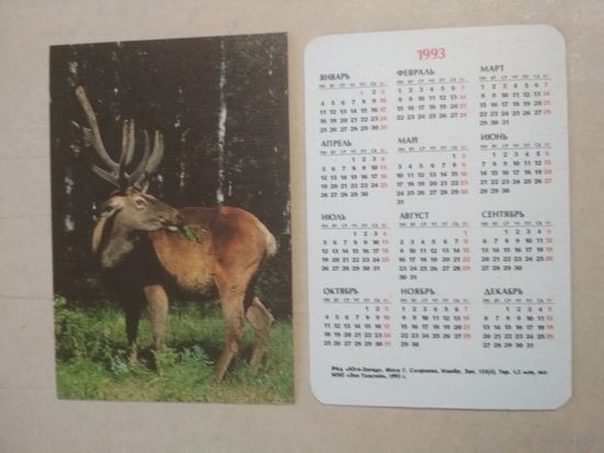 Карманный календарик. Изюбр. 1993 год