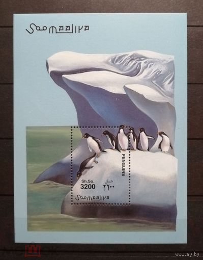 Сомали птицы пингвины 2001 MNH блок