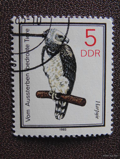 Германия 1985 г. Птицы.