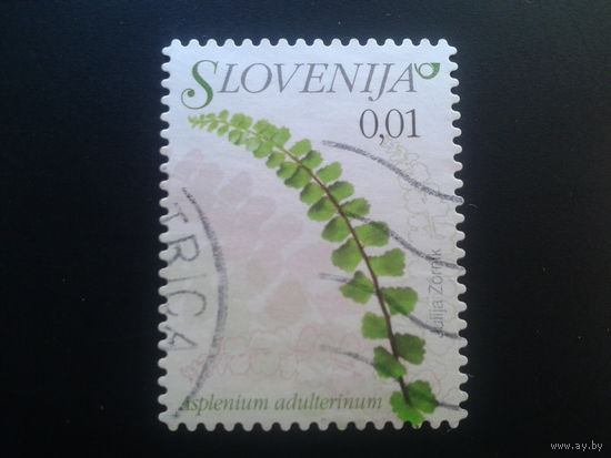 Словения 2009 стандарт, цветы