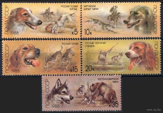 Марки СССР 1988 год.Породы охотничьих собак. 5945-5949. Полная серия из 5 марок.