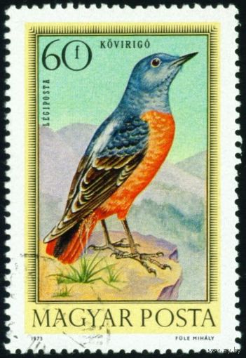 Певчие птицы Венгрия 1973 год 1 марка