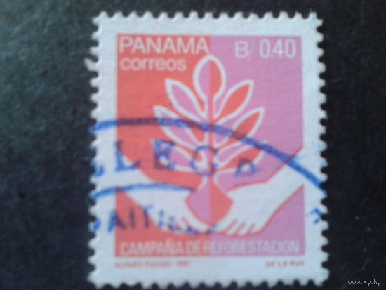 Панама 1988 посадка саженца