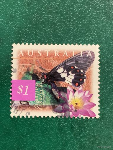 Австралия 1997. Бабочки