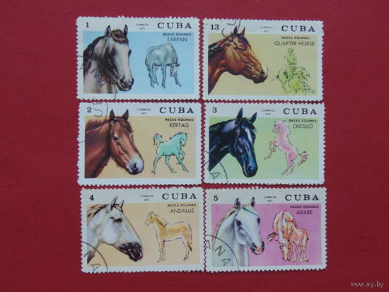 Куба 1972г. Фауна.Лошади.