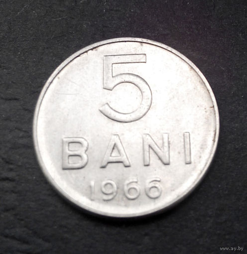 5 бани 1966 Румыния #07