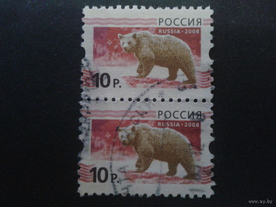 Россия 2008 стандарт, медведь, пара