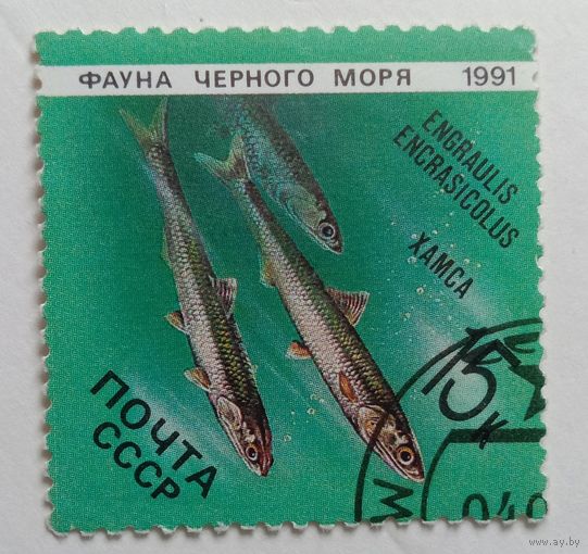 Марка СССР 1991 Фауна Черного моря художник Исаков А.