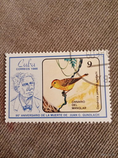 Куба 1986. Птицы. Dendroica petechia guandlachi