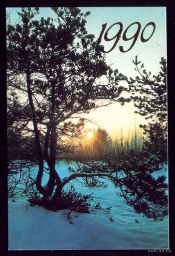 1990 Зимний лес