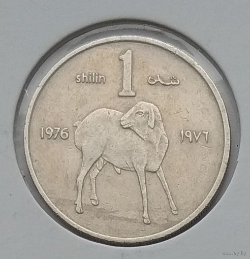 Сомали 1 шиллинг 1976 г. В холдере