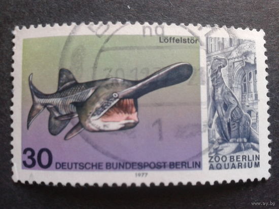 Берлин 1977 ископаемая фауна Михель-0,8 евро гаш.