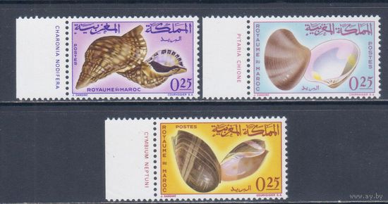 [844] Марокко 1965. Морская фауна.Раковины. СЕРИЯ MNH