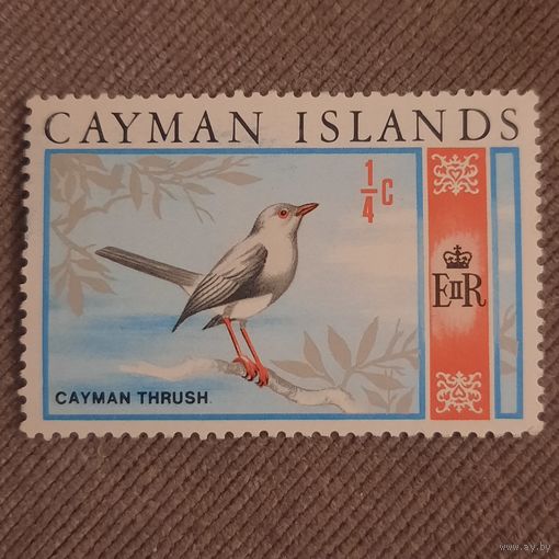 Каймановы острова 1969. Фауна. Cayman Thrush