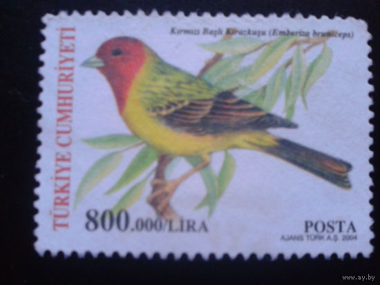 Турция 2004 птицы