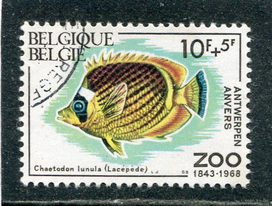 Бельгия. Зоопарк Антверпена. Рыбы