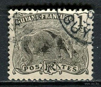Французские колонии - Гвиана - 1904/1907 - Гигантский муравьед 1C - [Mi.49] - 1 марка. Гашеная.  (Лот 76EN)-T5P1