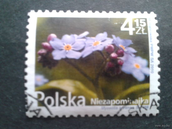 Польша 2010 стандарт цветы Mi-3,4 евро гаш.