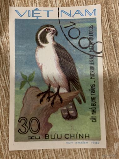 Вьетнам 1982. Хищные птицы. Microhierax mecanoleucos. Марка из серии