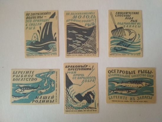 Спичечные этикетки ф.Сибирь. Рыбоохрана. 1962 год