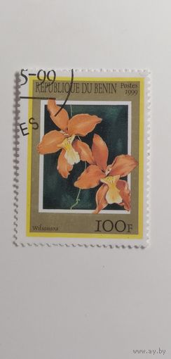 Бенин 1999. Орхидеи
