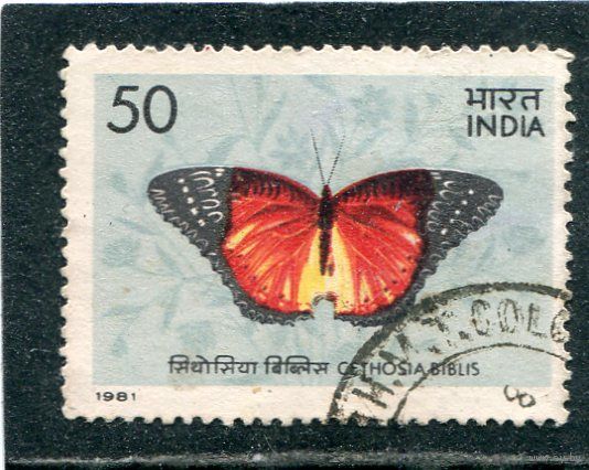Индия. Бабочка Цетозия библис
