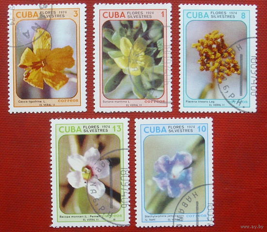 Куба. Цветы. ( 5 марок ) 1974 года. 8-12.