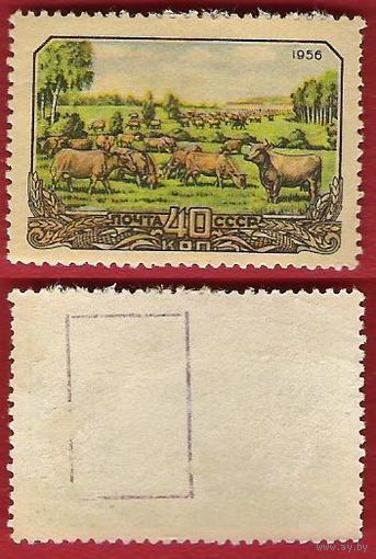 СССР 1956 Сельское хозяйство Стадо коров