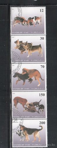 Таджикистан-1998,   гаш., Фауна, Собаки (полная серия)