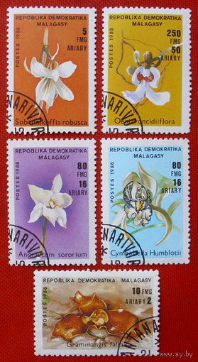 Мадагаскар. Цветы. ( 5 марок ) 1988 года.