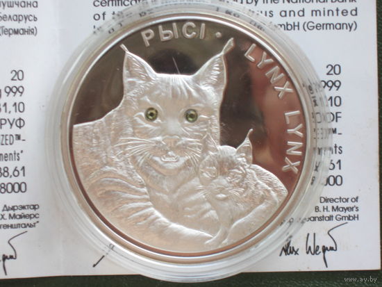 20 рублей,  РЫСИ 2008г