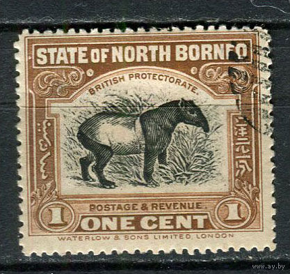 Северное Борнео (Британский протекторат) - 1909 - Азиатский тапир 1С - [Mi.127] - 1 марка. Гашеная.  (Лот 56Eu)-T5P6
