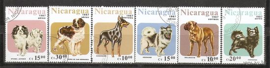 КГ Никарагуа 1987 Собаки