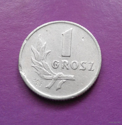 1 грош 1949 Польша #02