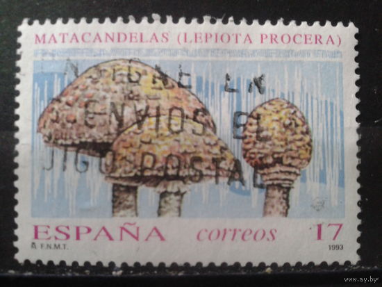 Испания 1993 Грибы
