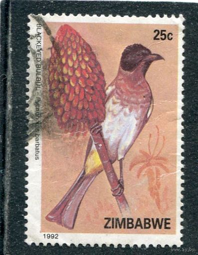 Зимбабве. Птицы